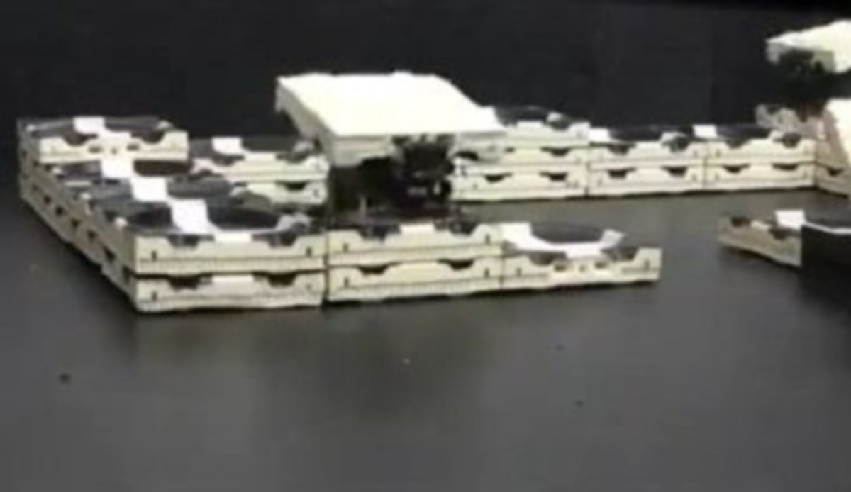 Ρομπότ- τερμίτες κατασκευάζουν κάστρα από τουβλάκια (ΒΙΝΤΕΟ)