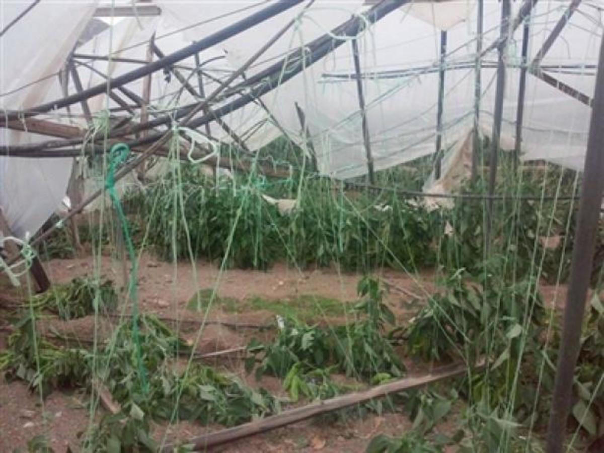 ΦΩΤΟ από το cretapost