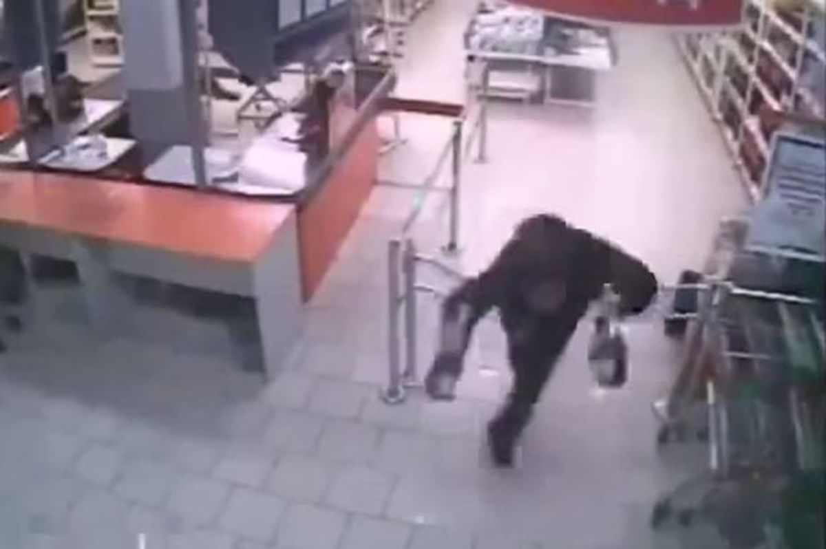 ΒΙΝΤΕΟ: Ο χειρότερος κλέφτης στον κόσμο!
