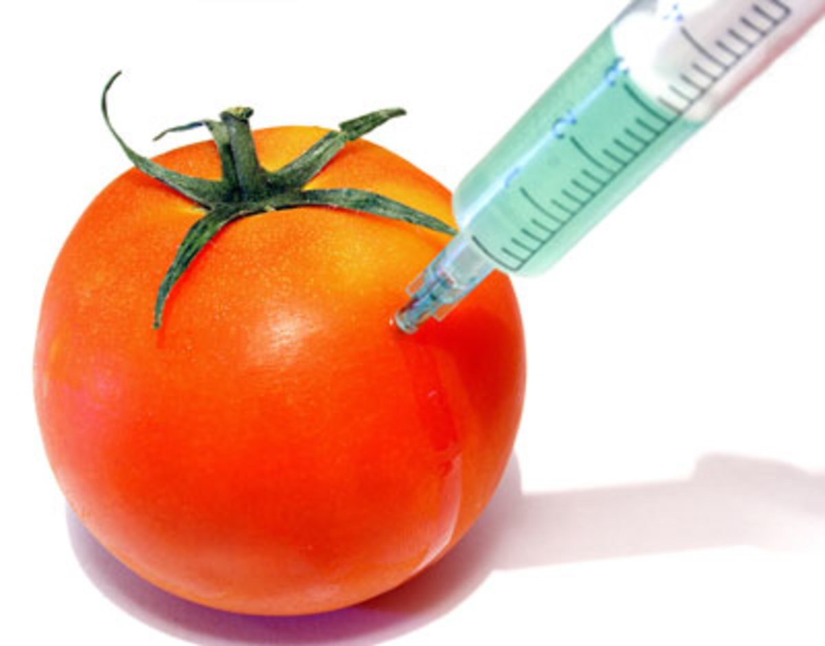 Γενετικά τροποποιημένα τρόφιμα: Κίνδυνος για την υγεία;