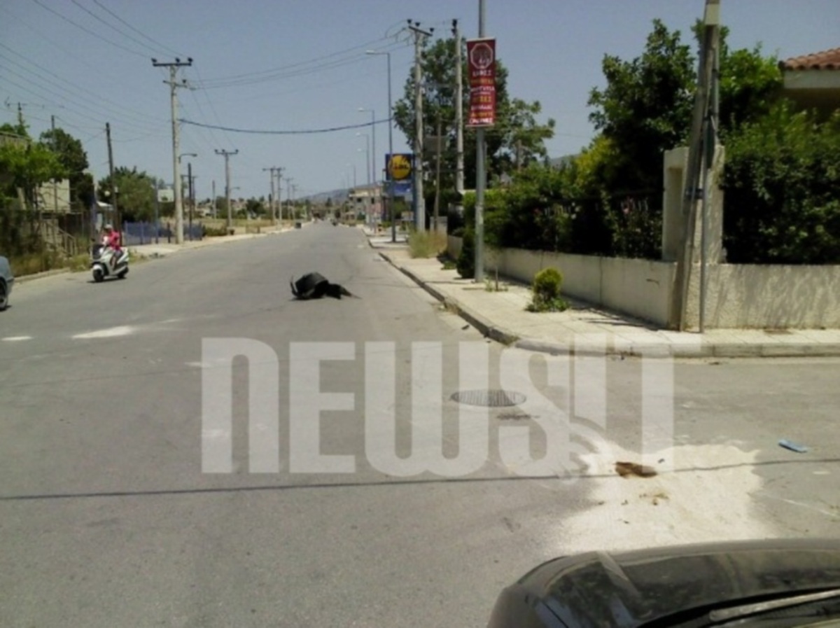 Νεκρός άνδρας της ΔΙΑΣ όταν συγκρούστηκε με αυτοκίνητο που παραβίασε STOP