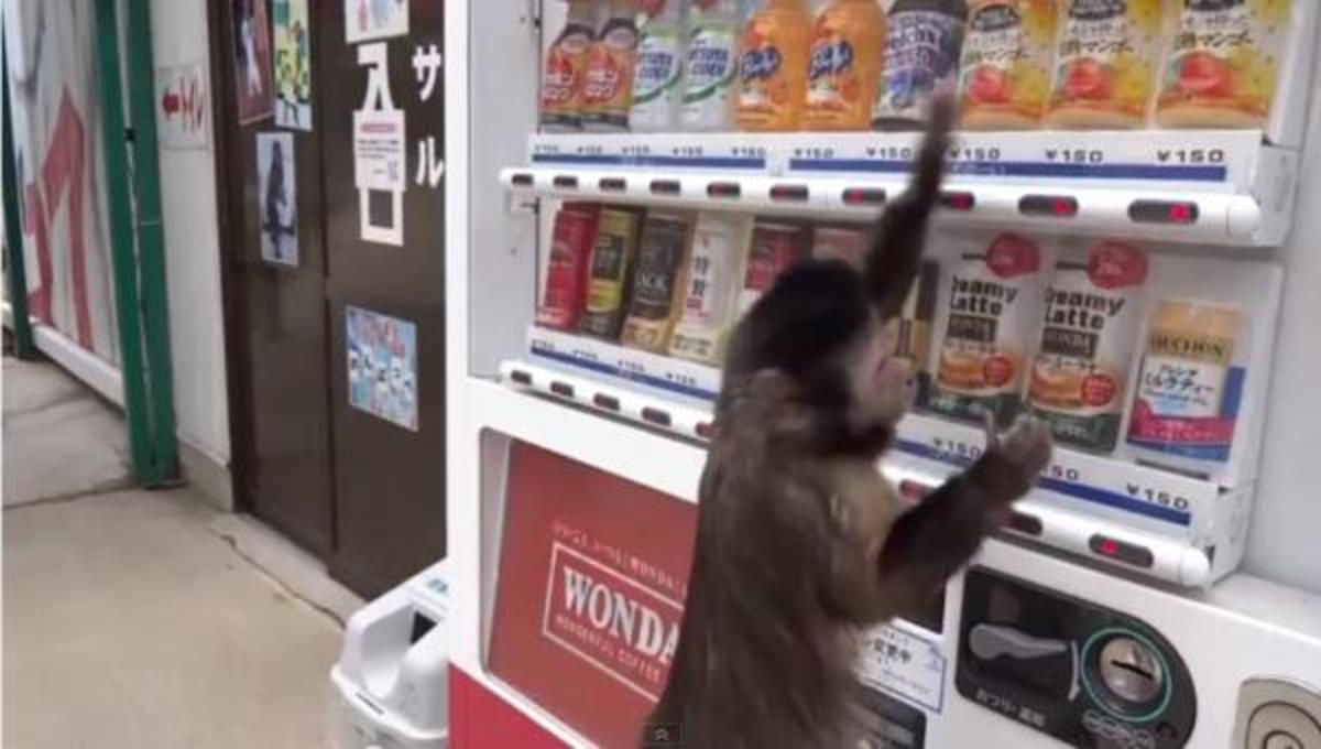 Τα καλύτερα βίντεο της Παρασκευής!