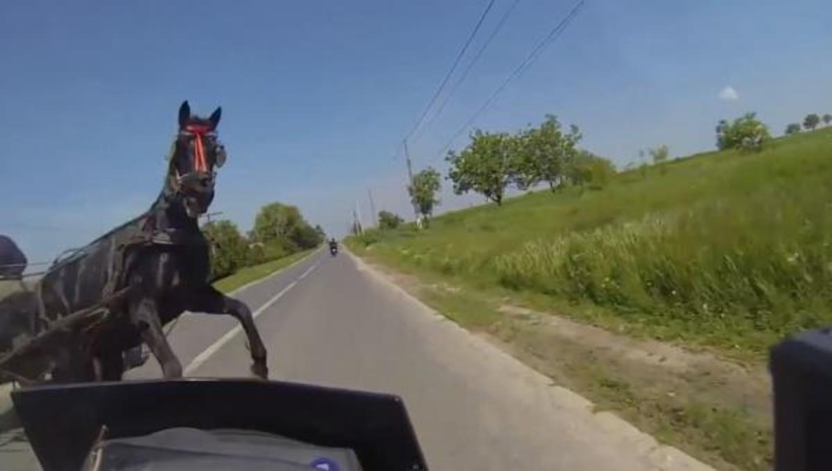 Τα καλύτερα βίντεο της Πέμπτης!