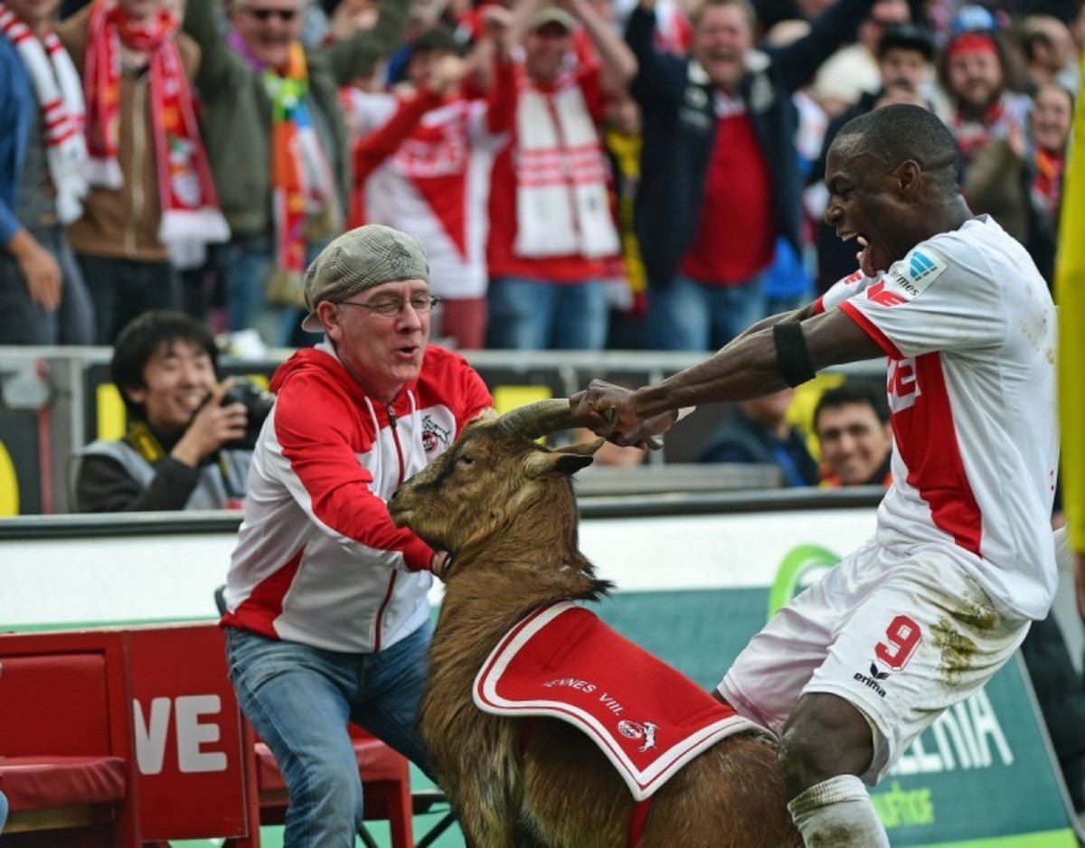 Έπιασε τον ταύρο από τα κέρατα