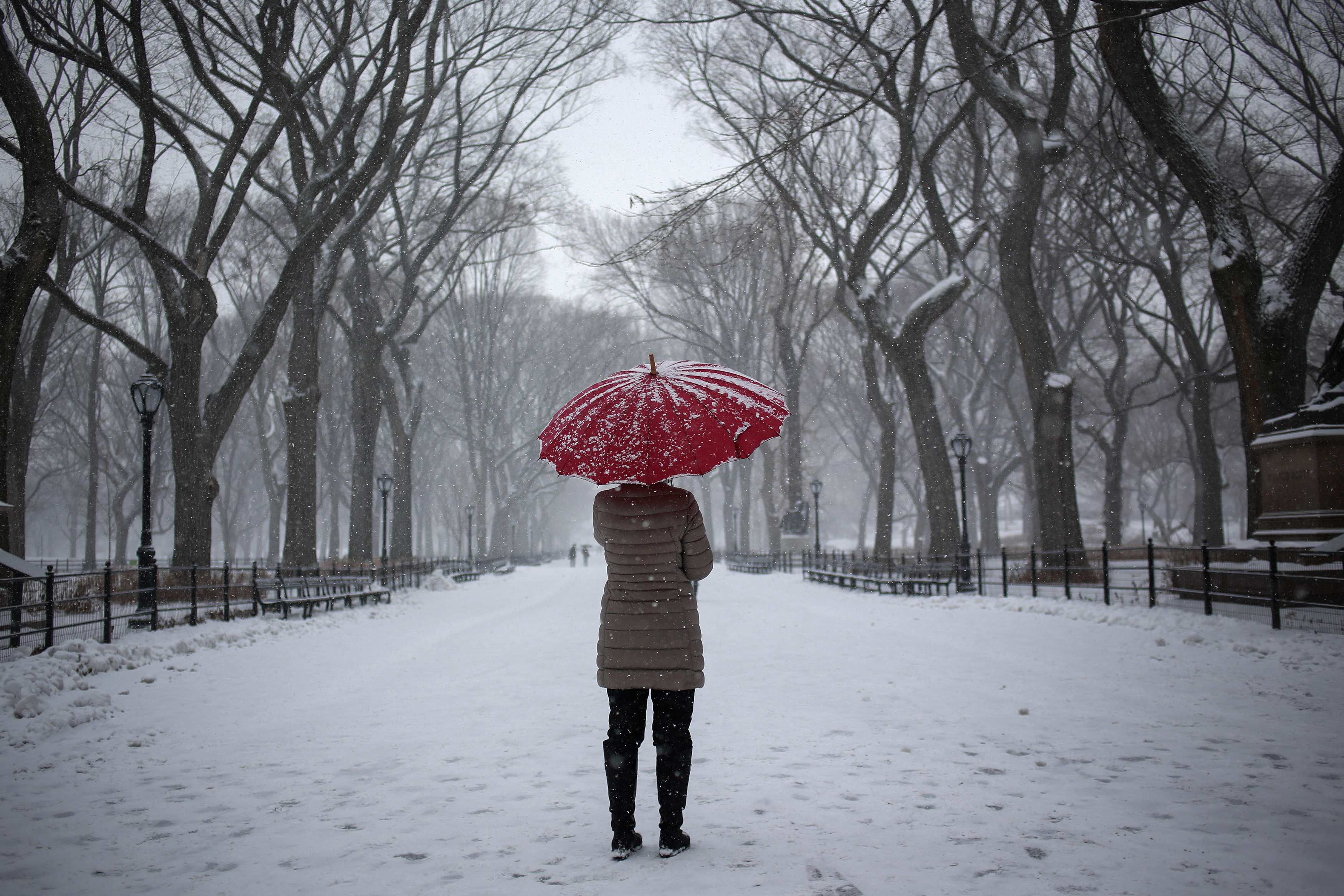 Здесь дождь снег. На работу и в дождь и в снег. США идет снег. Snow Rain. Harsh weather.