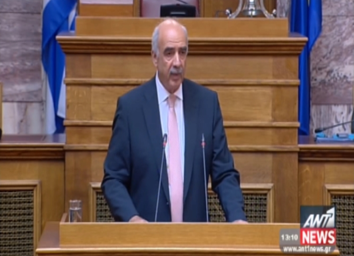Ομιλία Μεϊμαράκη στη Βουλη