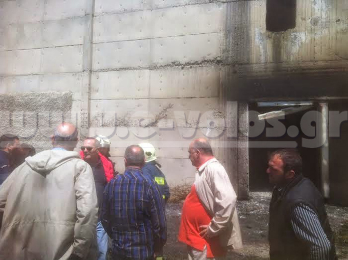 ΦΩΤΟ από το e-volos