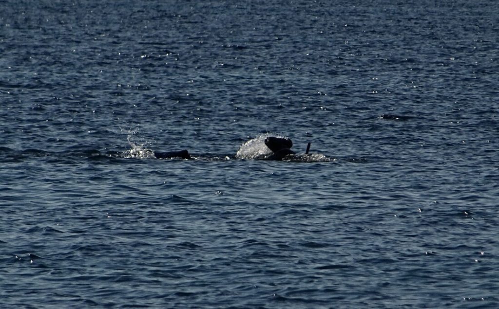 ΦΩΤΟ ΑΡΧΕΙΟΥ EUROKINISSI