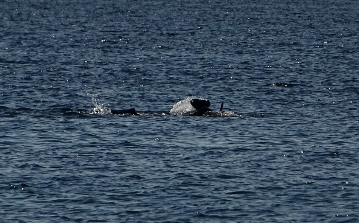 ΦΩΤΟ ΑΡΧΕΙΟΥ EUROKINISSI