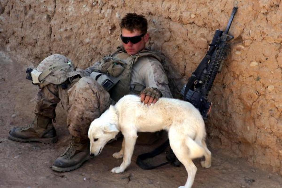 “Τα σκυλιά του πολέμου”!Εκπληκτικό ρεπορτάζ,εντυπωσιακές φωτογραφίες