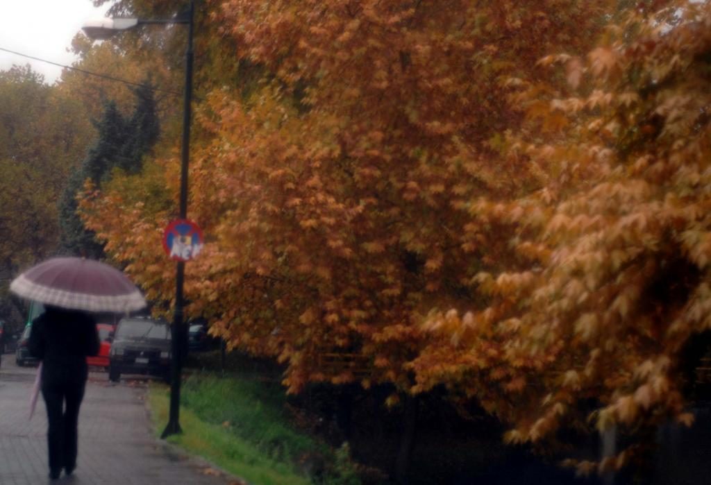 Ο χειμώνας επιστρέφει για… λίγο! – Έρχονται βροχές και καταιγίδες – Αναλυτικά ο καιρός της Μ. Εβδομάδας