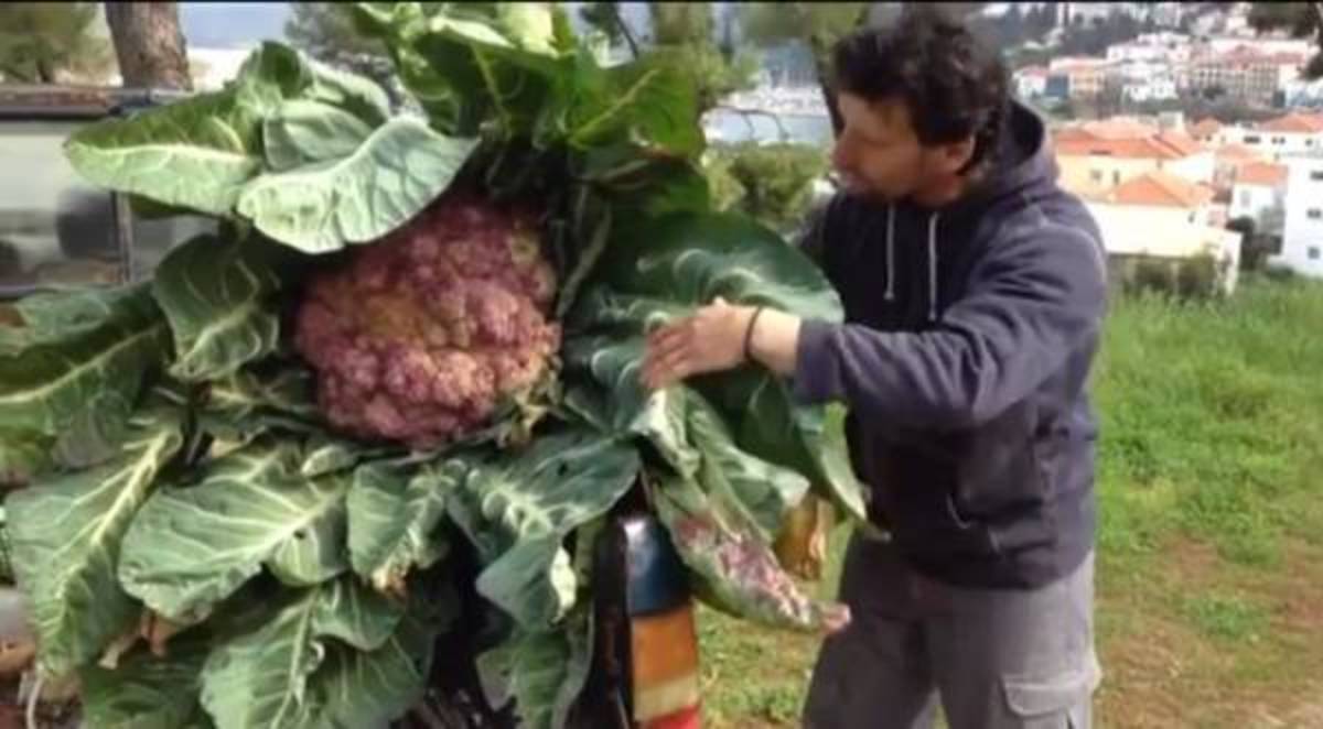 ΦΩΤΟ από youtube