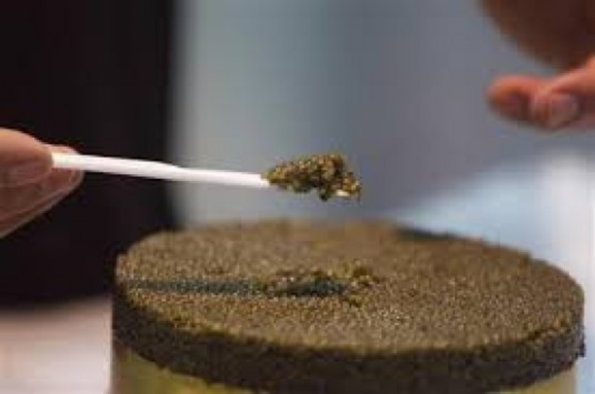 Ρωσική “πατέντα” για το ιταλικό χαβιάρι: Το “βάφτισαν” ρωσικό λόγω… εμπάργκο!