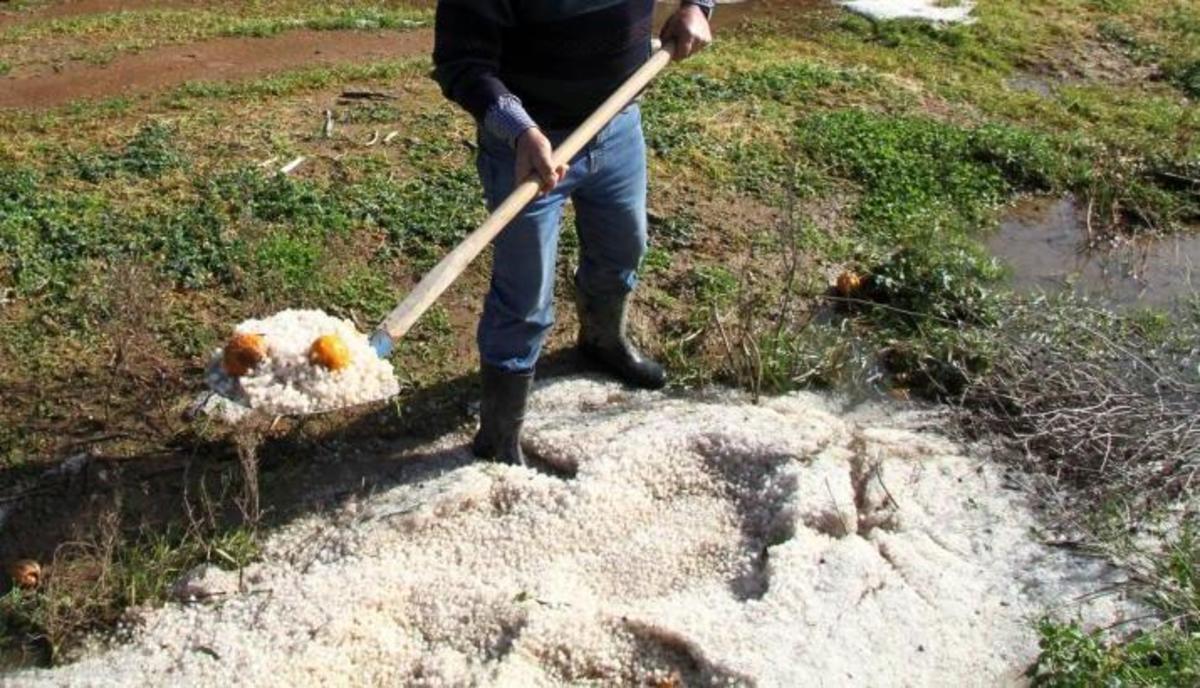 ΦΩΤΟ ΑΡΧΕΙΟΥ EUROKINISSI