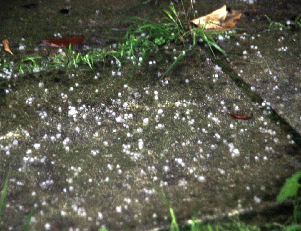 Πυκνό χαλάζι σε Βέροια και Κοζάνη κατέστρεψε τις καλλιέργειες