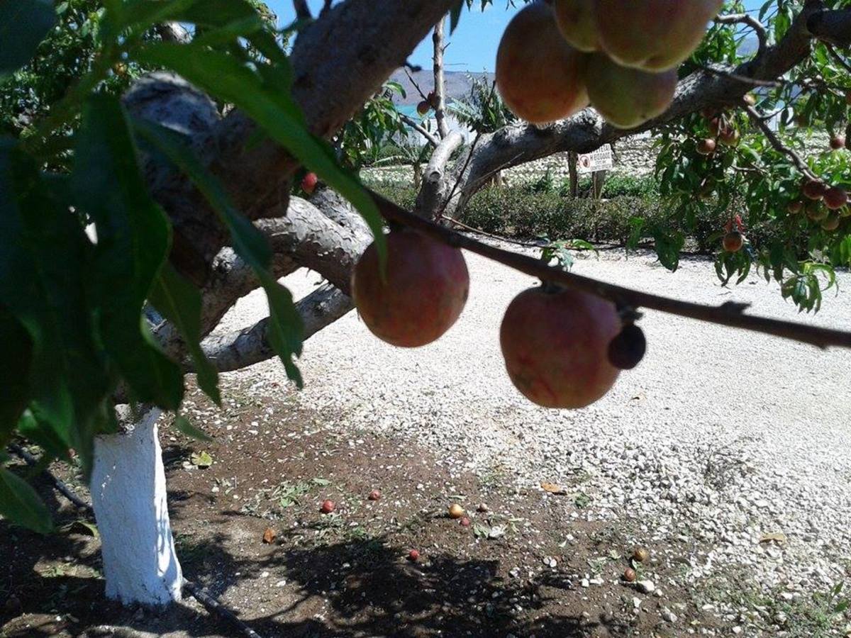 ΦΩΤΟ ΑΡΧΕΙΟΥ EUROKINISSI