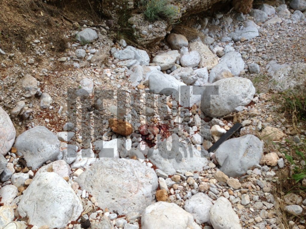 Θρίλερ με την πτώση 29χρονης σε χαράδρα – “Ήταν ζωντανή όταν τη βρήκα” λέει κάτοικος