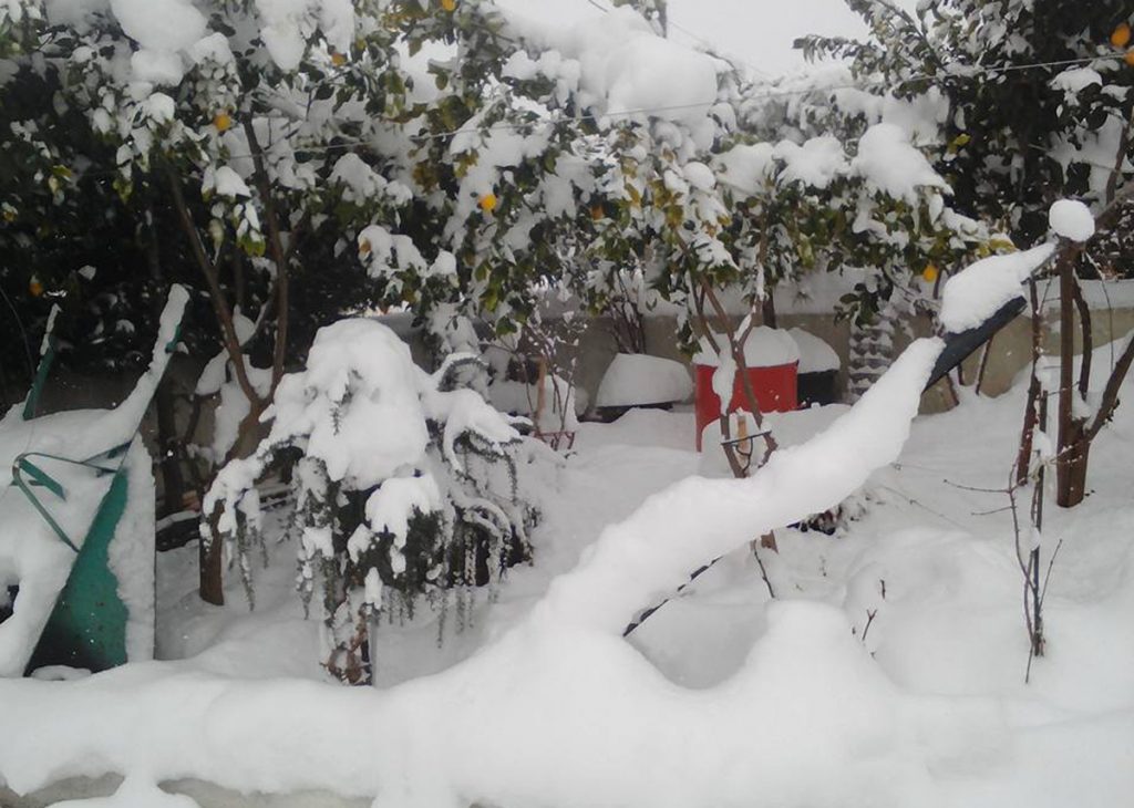 Κύμη: Μήνυση σε δήμαρχο και αντιδημάρχους για τα προβλήματα από τον χιονιά
