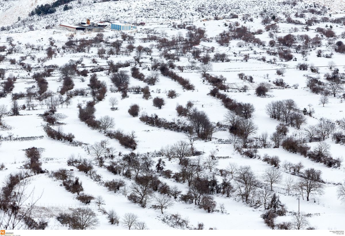 Καιρός: Χιονοθύελλα τώρα στη Μυτιλήνη – Κλειστό το οδικό δίκτυο