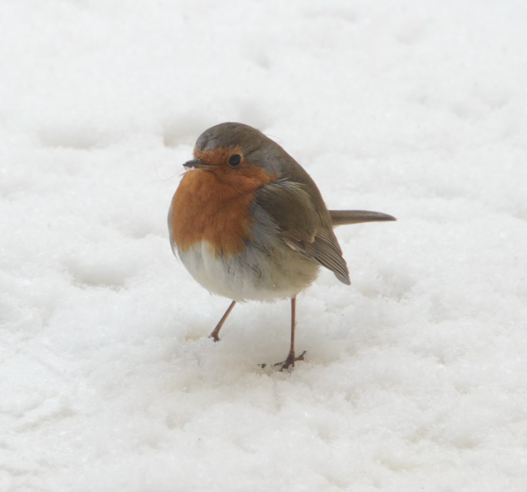 (ΦΩΤΟ EUROKINISSI)