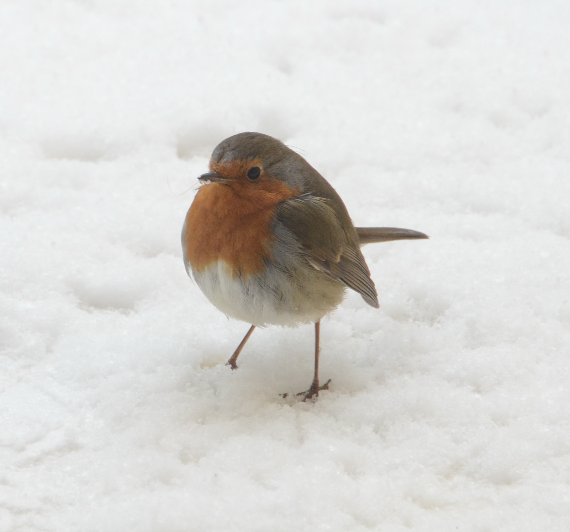 (ΦΩΤΟ EUROKINISSI)