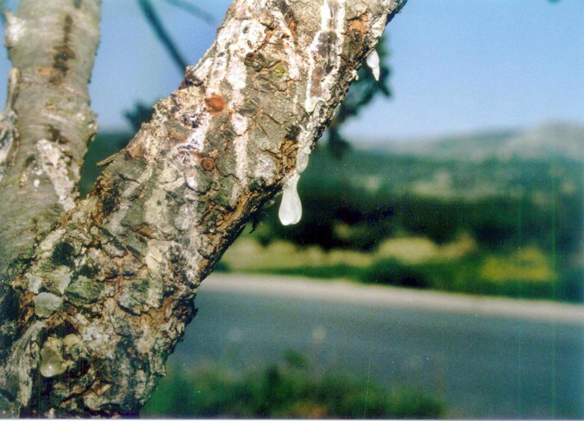 ΦΩΤΟ ΑΡΧΕΙΟΥ EUROKINISSI