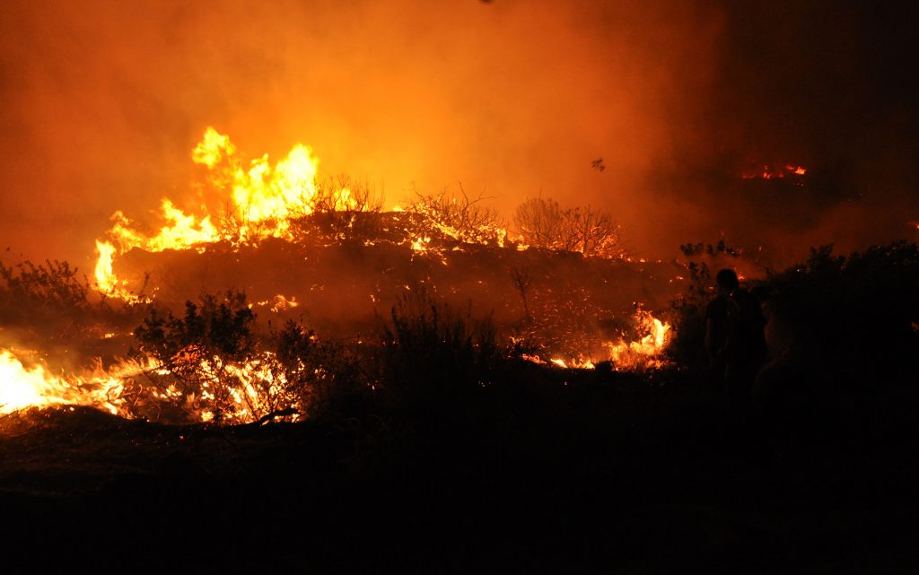 Η καταστροφή της Χίου – 120.000 στρέμματα έκαψε η φωτιά