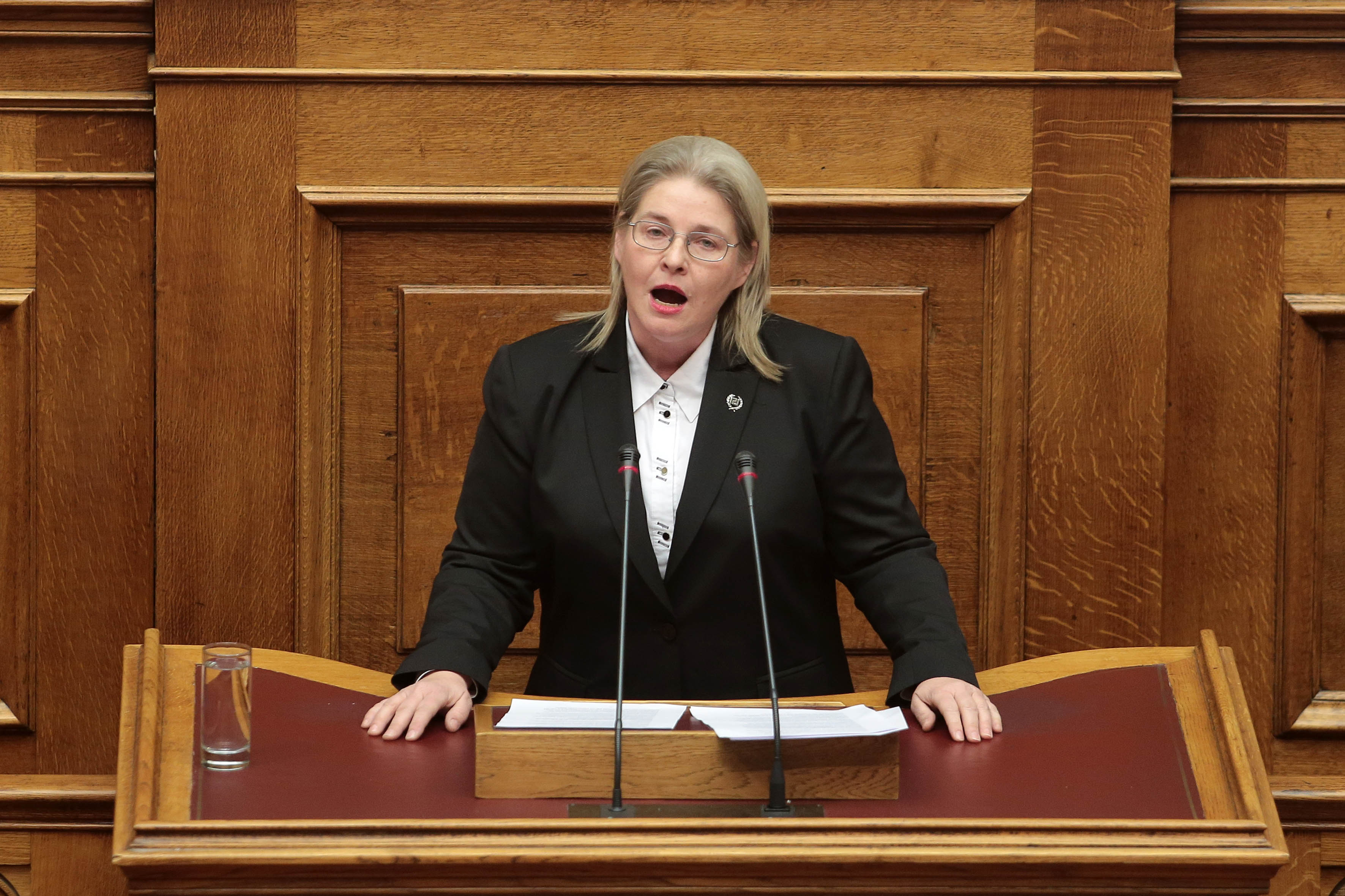 “Πόρτα” στη Ζαρούλια από το Συμβούλιο της Ευρώπης