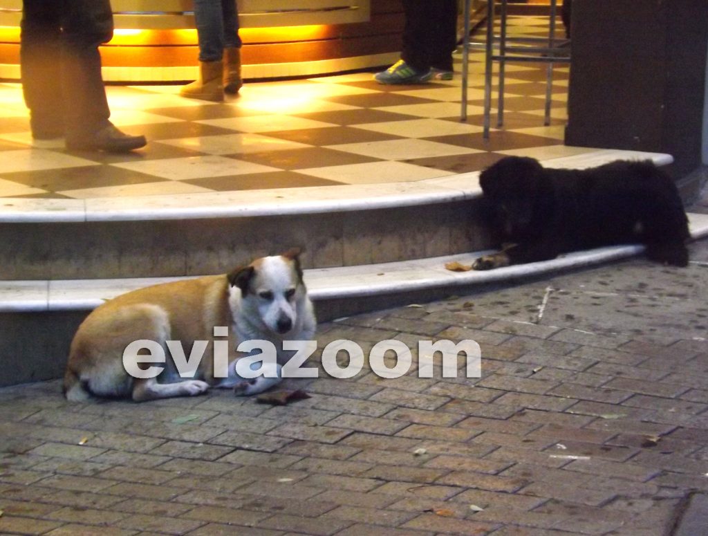 ΦΩΤΟ από eviazoom