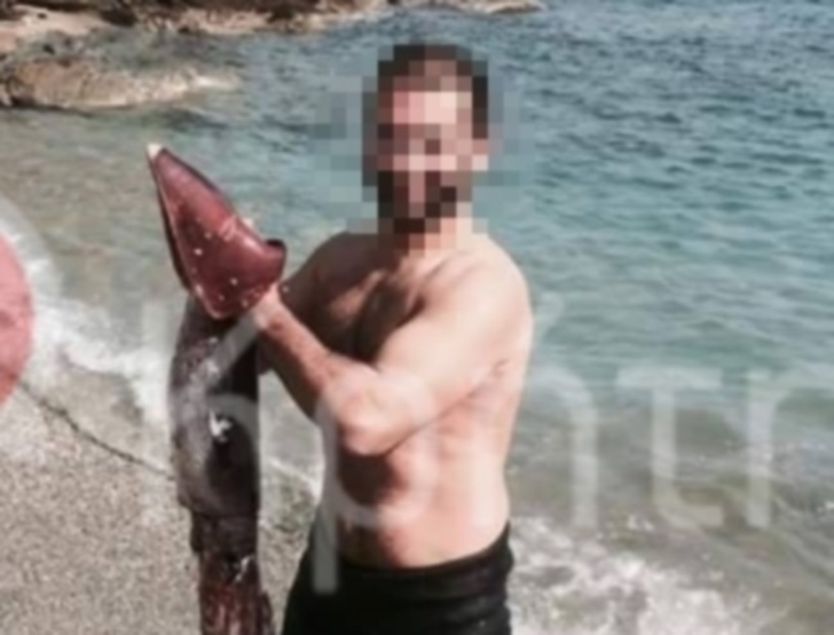 ΦΩΤΟ από το ekriti.gr