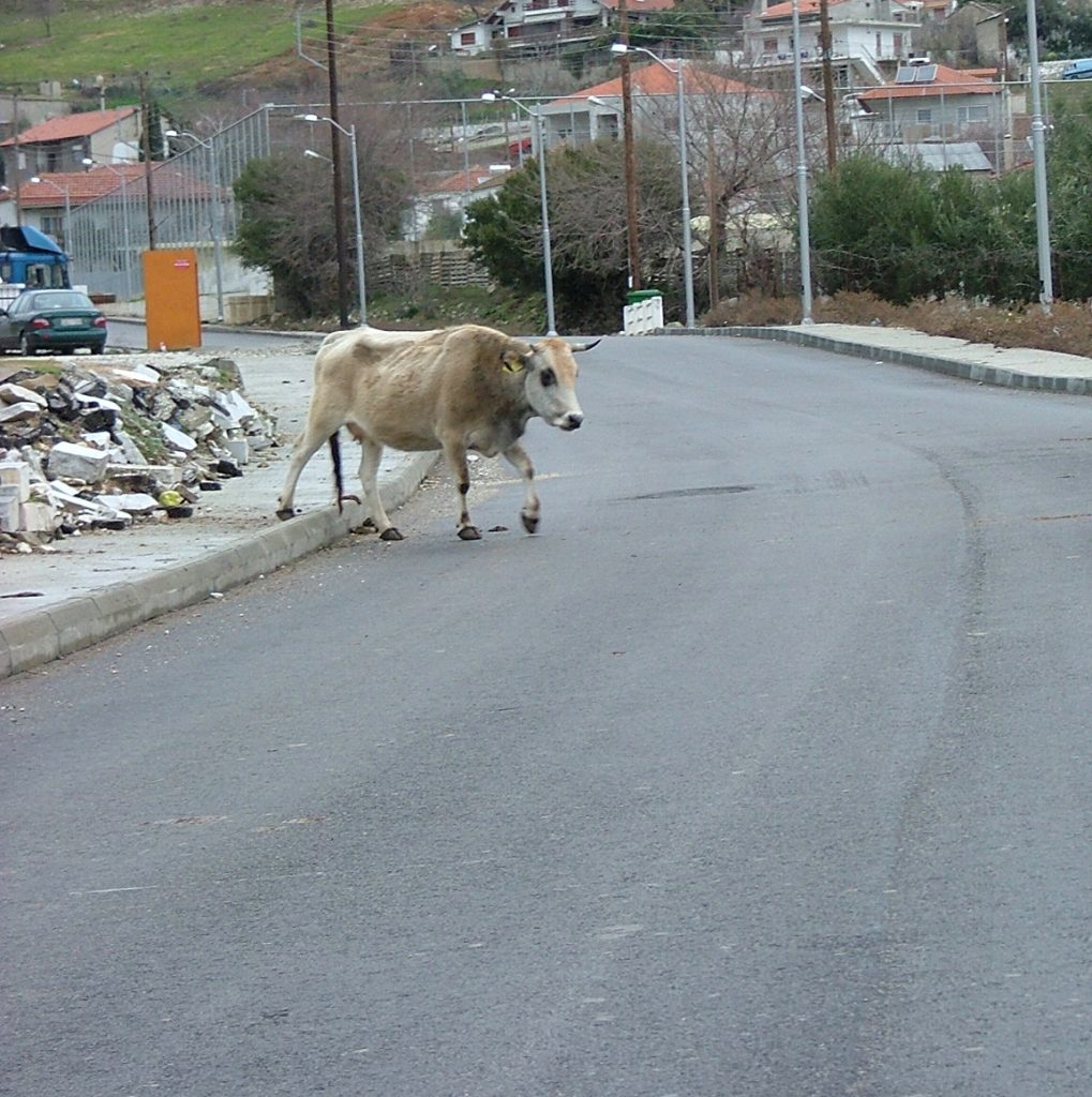 ΦΩΤΟ από epirusgate