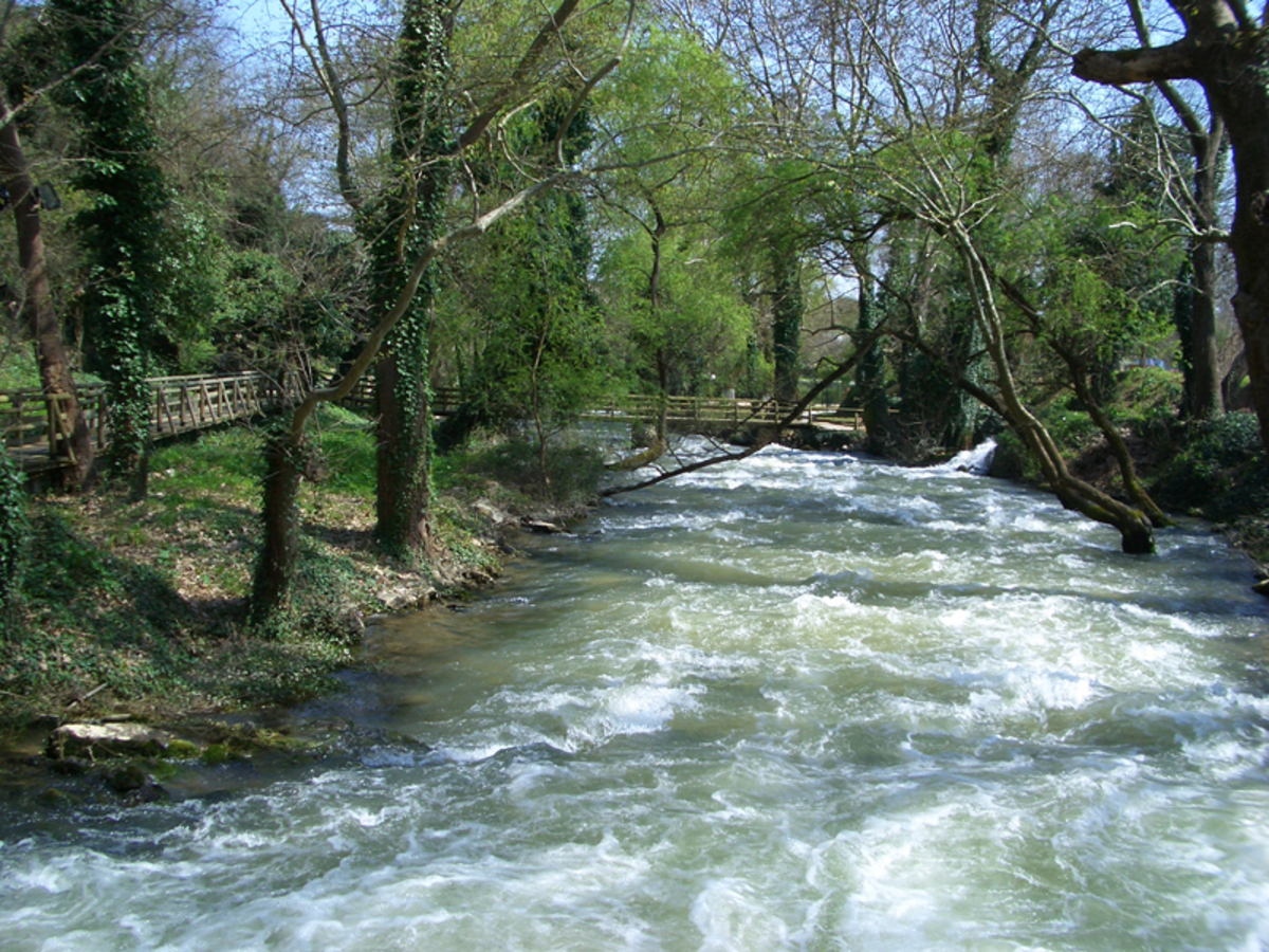 Άνοιξη με 11.000 δέντρα στη Δράμα