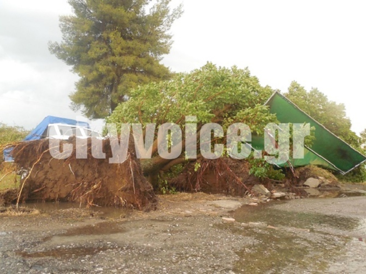 ΦΩΤΟ από το cityvoice