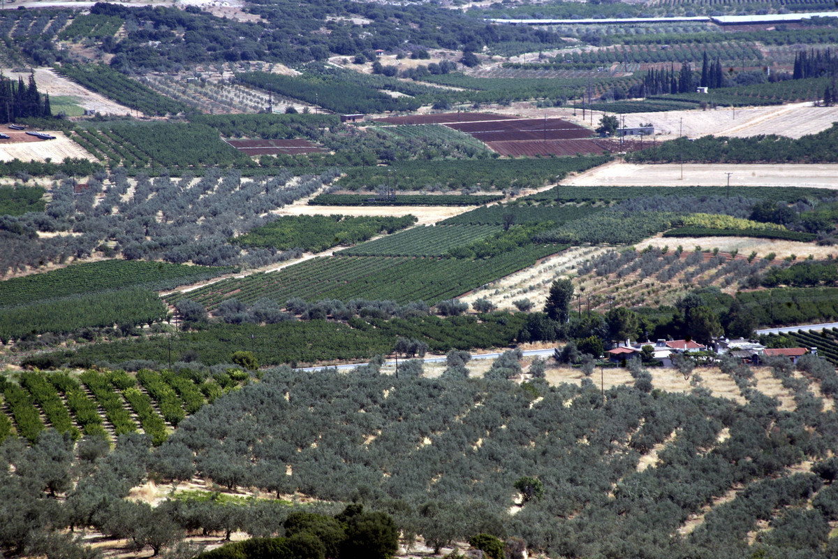 ΦΩΤΟ ΑΡΧΕΙΟΥ ΑΠΕ - ΜΠΕ