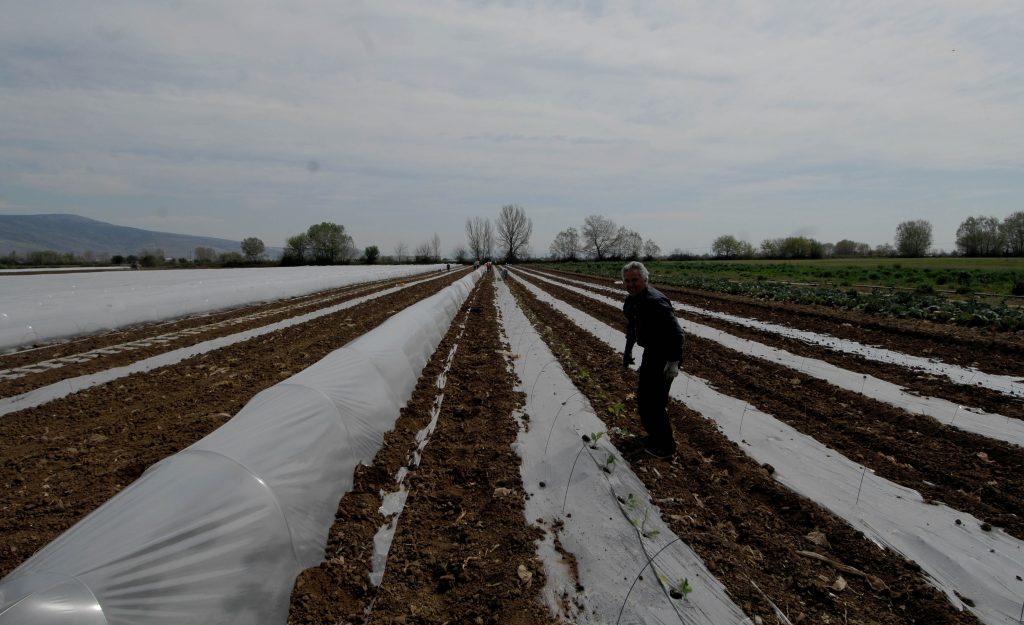 Το Σάββατο καταβάλλεται στους αγρότες η δεύτερη δόση