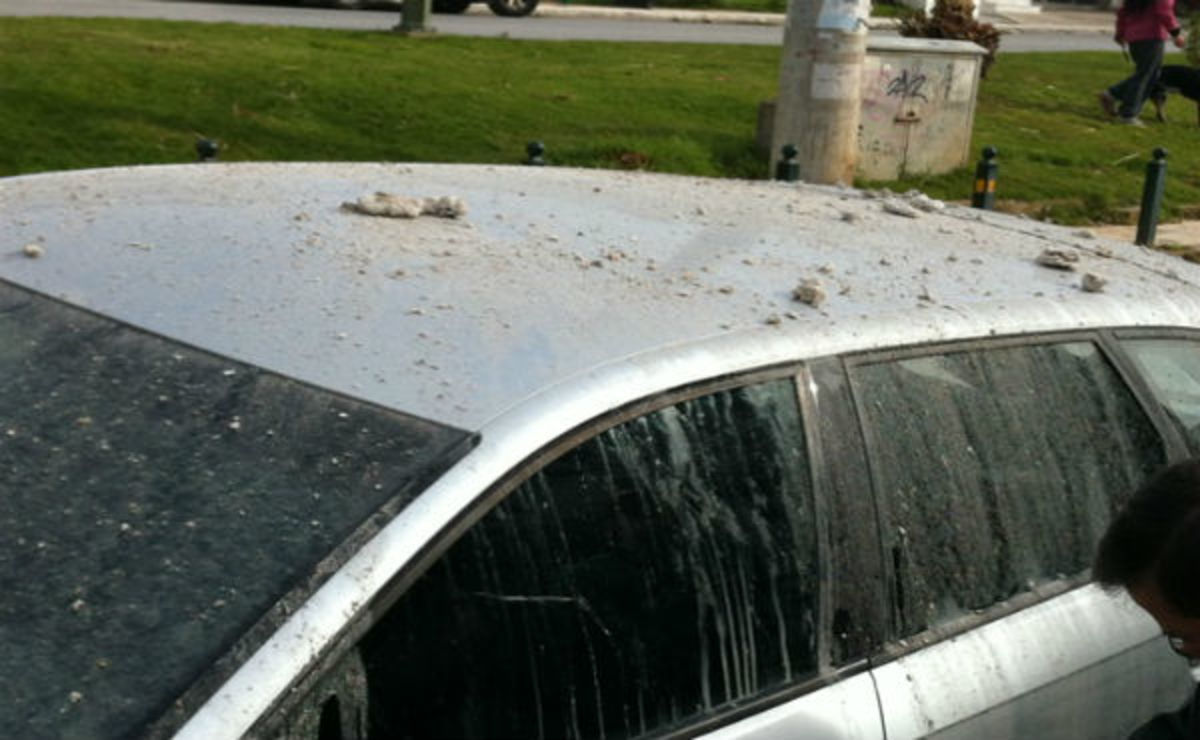 Έλουσαν με λύματα βόθρου το αυτοκίνητο του βουλευτή Χρήστου Αηδόνη! – ΦΩΤΟ