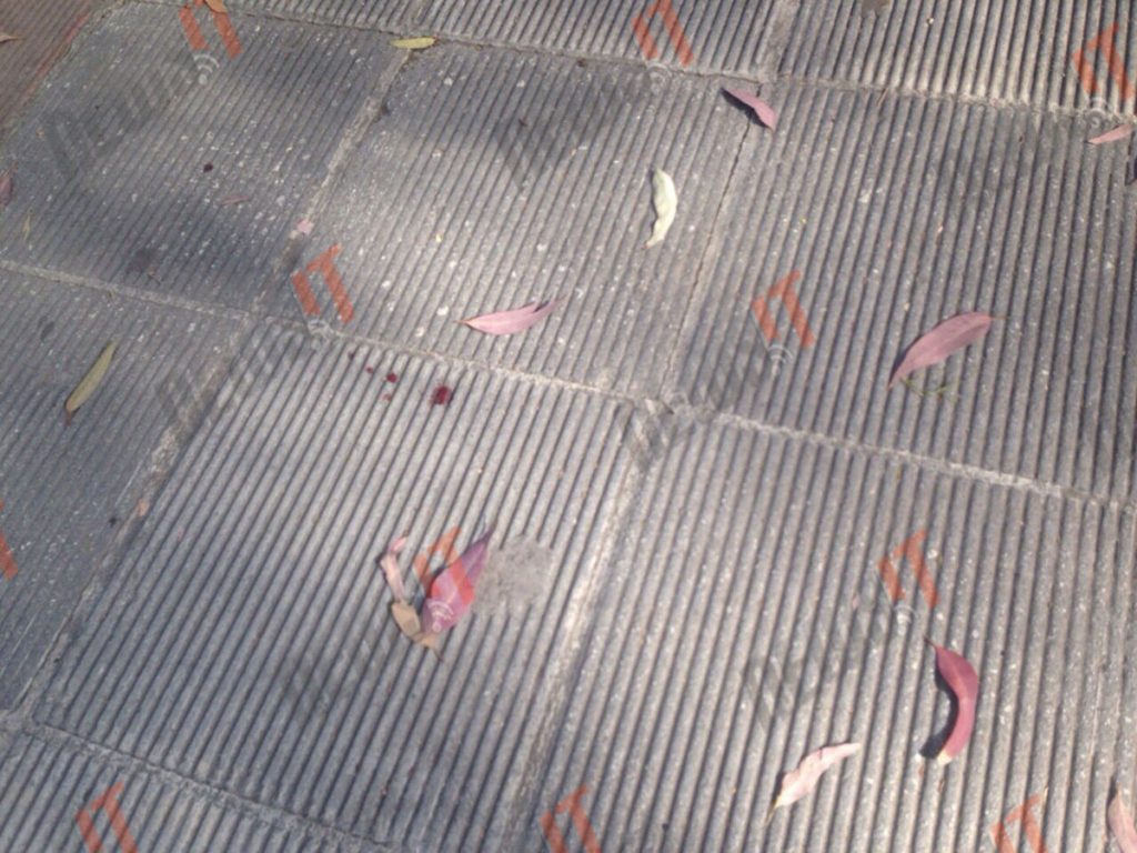 Δίκη Χρυσής Αυγής: Πήγαινε γυμναστήριο και του άνοιξαν το κεφάλι