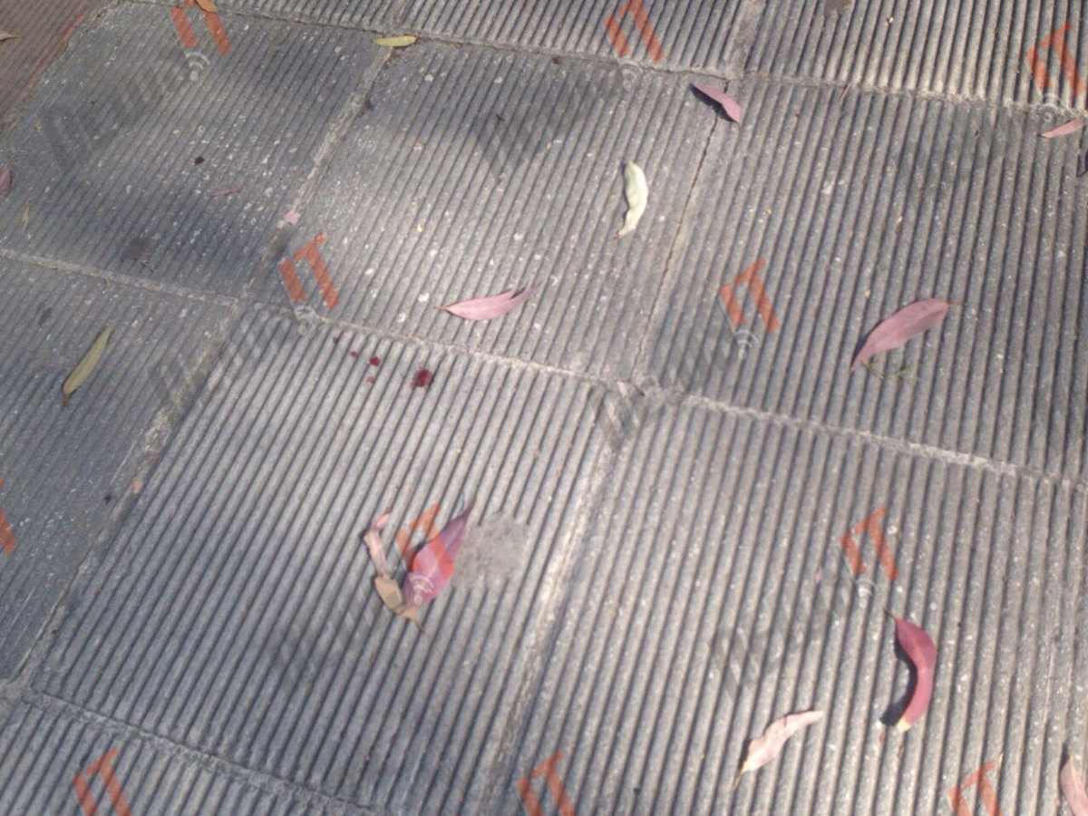 Δίκη Χρυσής Αυγής: Πήγαινε γυμναστήριο και του άνοιξαν το κεφάλι