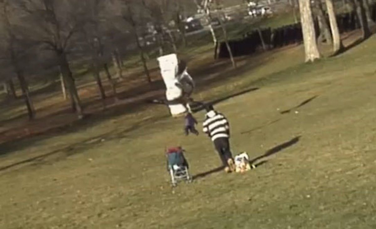 Πλαστό το βίντεο με τον χρυσαετό που αρπάζει ένα μωρό;