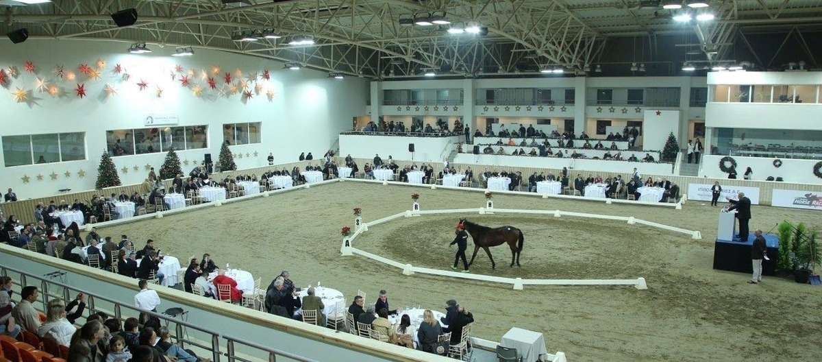 Κάλπασε η δημοπρασία καθαρόαιμων στο Μαρκόπουλο