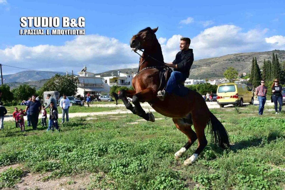 ΦΩΤΟ από argolikeseidhseis.gr