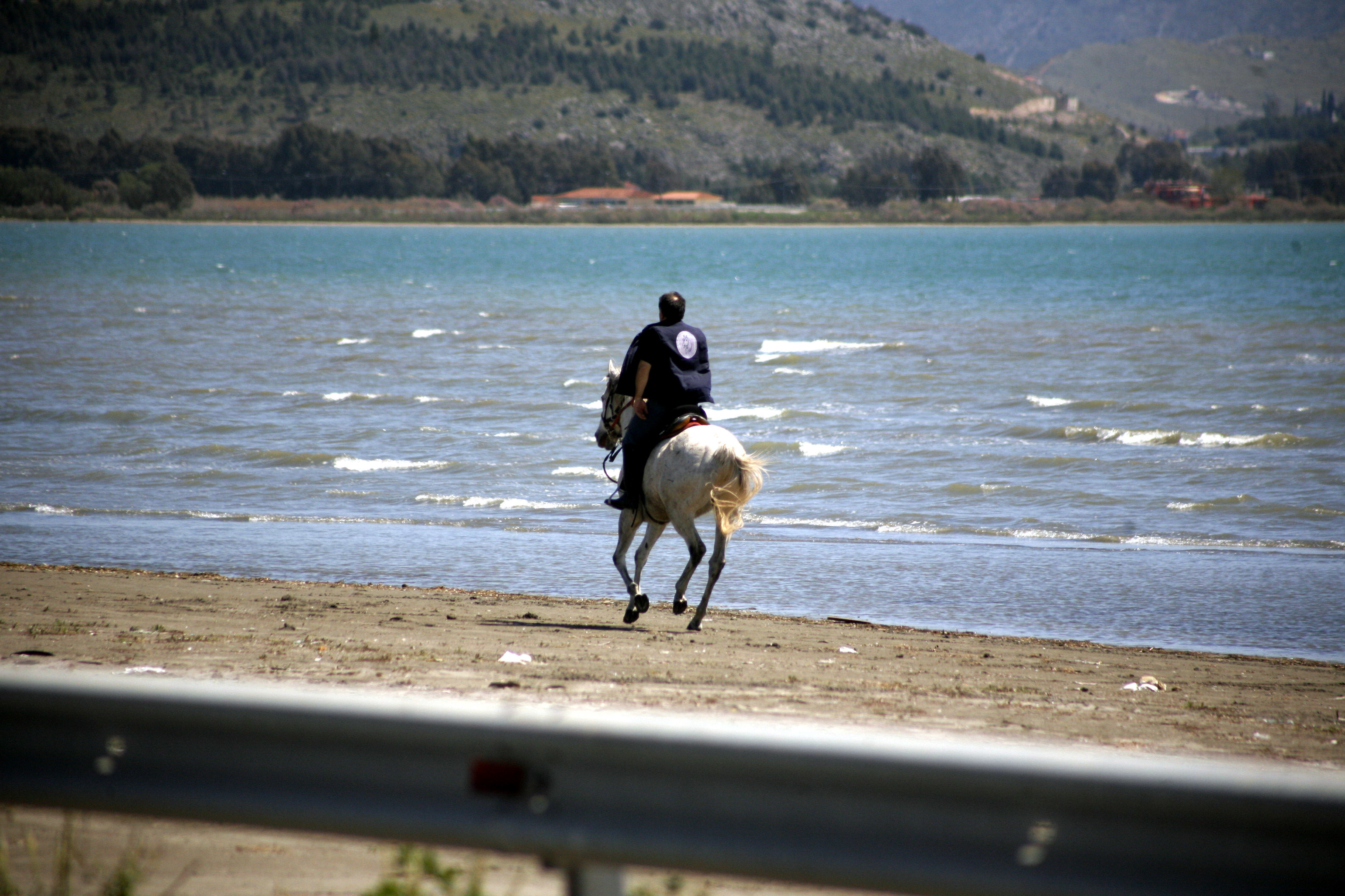 Καταδικάστηκε 59χρονος για κακοποίηση του αλόγου του