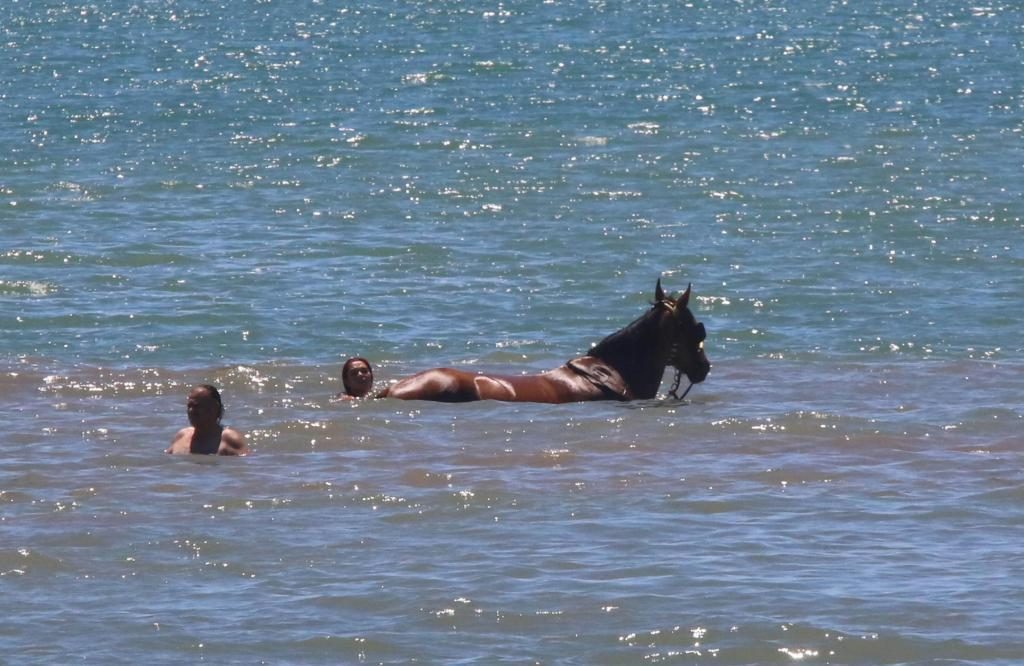 ΦΩΤΟ EUROKINISSI