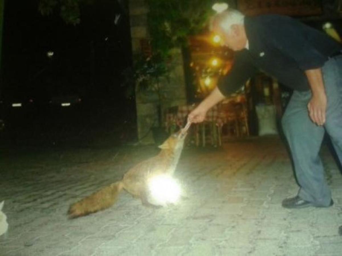 ΦΩΤΟ από το LamiaStar