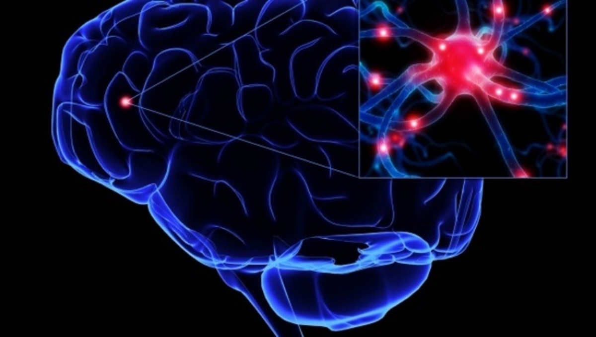 Μεγάλο άλμα στην καταπολέμηση Αλτσχάιμερ και Πάρκινσον – Τι ανακάλυψαν οι επιστήμονες