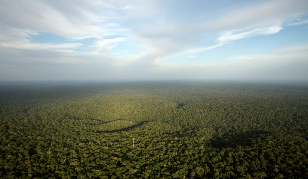 Tο Δάσος του Αμαζονίου: ΦΩΤΟ REUTERS