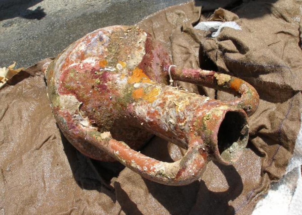 Οι αρχαίοι έλληνες δεν έκαναν εξαγωγή μόνο λάδι αλλά και τζίντζερ…