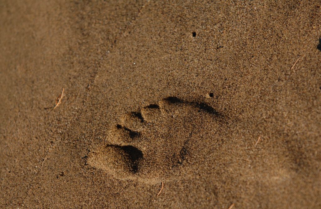 Το πρώτο φεστιβάλ γλυπτικής στην άμμο στην Ελλάδα