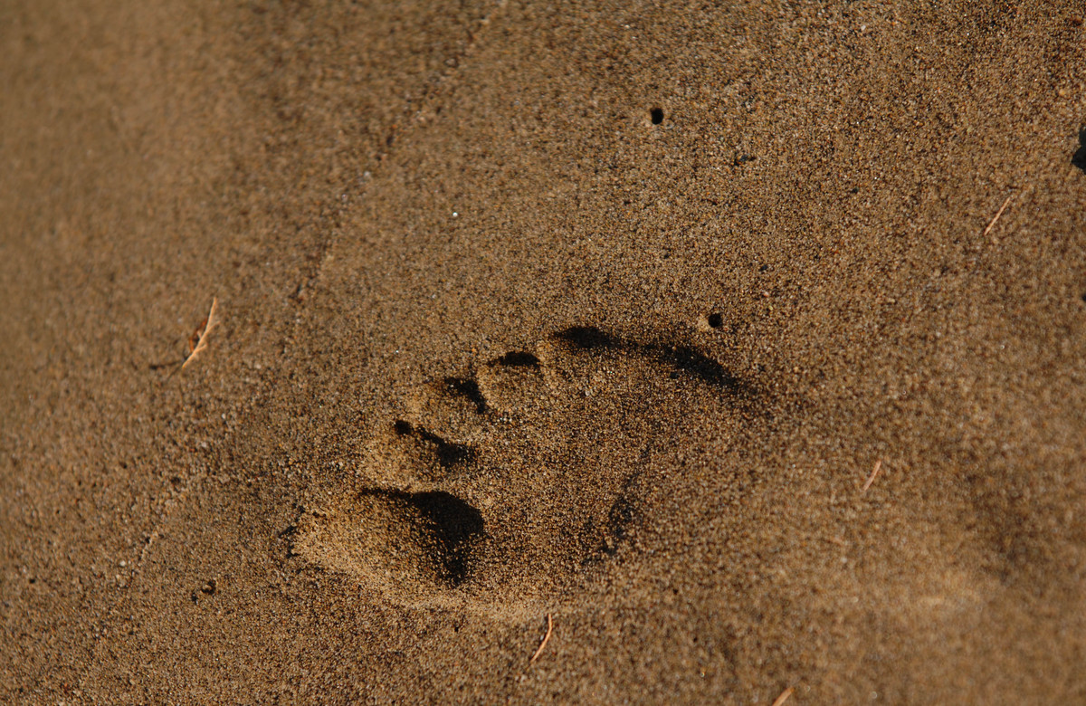 Το πρώτο φεστιβάλ γλυπτικής στην άμμο στην Ελλάδα