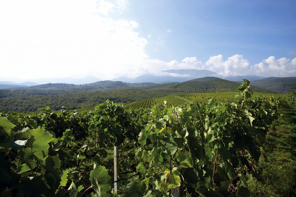 Ποιοί προτιμούν το σαμιώτικο κρασί και τα προβλήματα που υπάρχουν